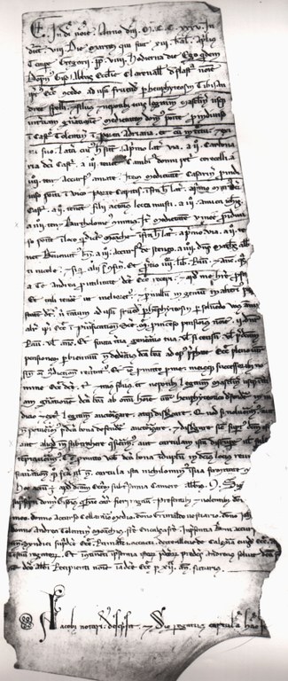 Pergamena Fiastra