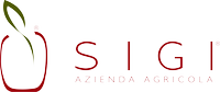 SIGI