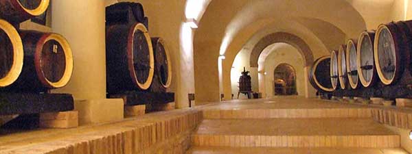 Tour of Leopardi's House | Languaging Diversity 2016 at UniMC